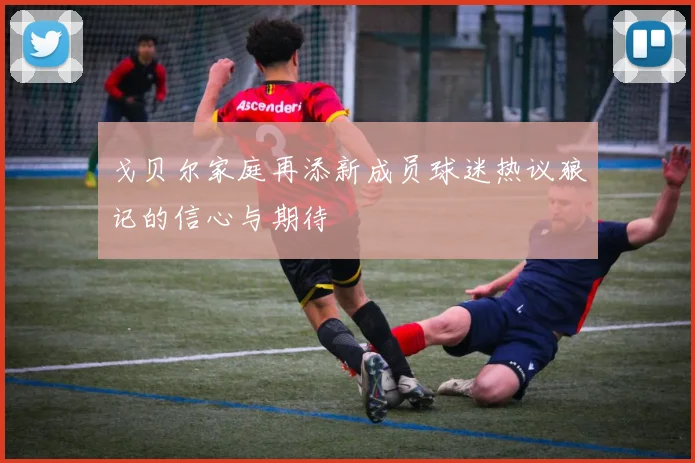 戈贝尔家庭再添新成员球迷热议狼记的信心与期待