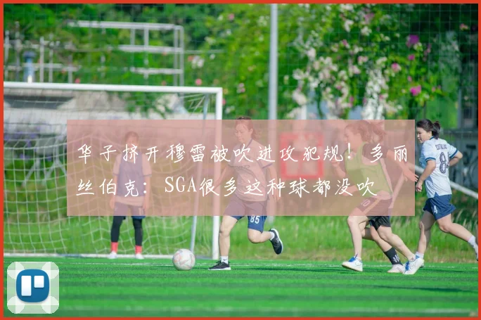 华子挤开穆雷被吹进攻犯规！多丽丝伯克：SGA很多这种球都没吹