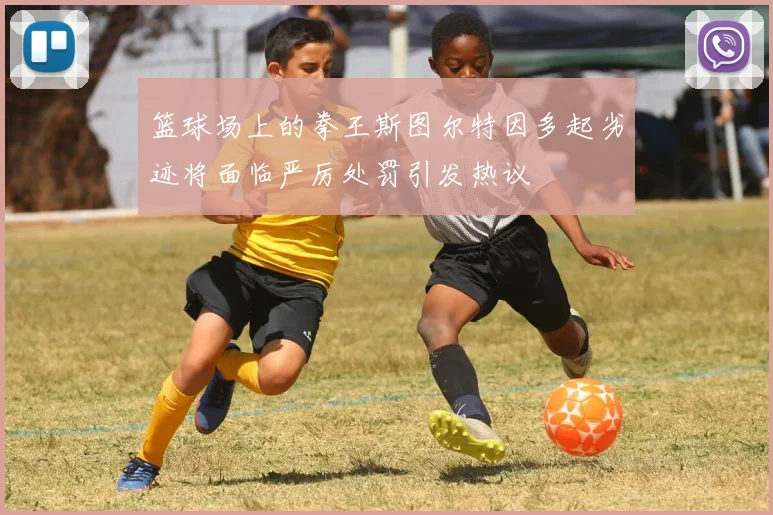 篮球场上的拳王斯图尔特因多起劣迹将面临严厉处罚引发热议