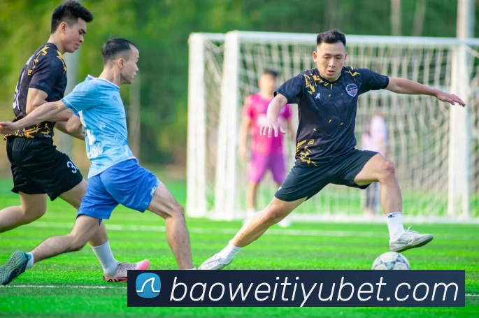 宝威体育APP 封面图